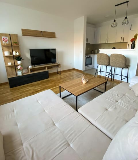 TV and multimedia, Kitchen or kitchenette, Living room, Photo of the whole room, Seating area, Dining area, Evening entertainment