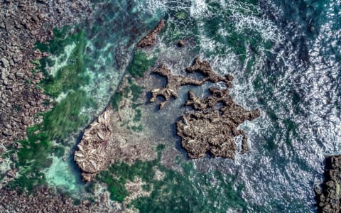 Jims Folly House in Depoe Bay