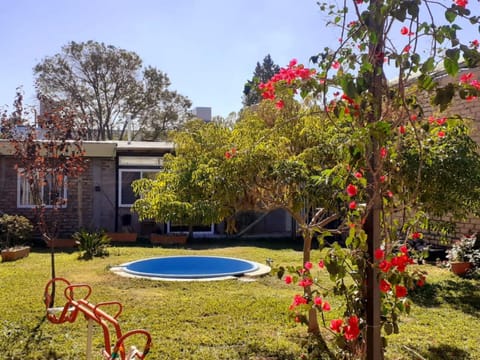 Game Room, Garden