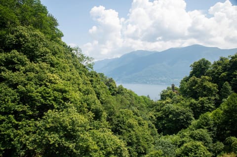 View (from property/room), Balcony/Terrace