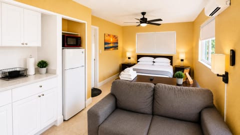 Bed, Kitchen or kitchenette, Living room, Photo of the whole room, Seating area, Bedroom