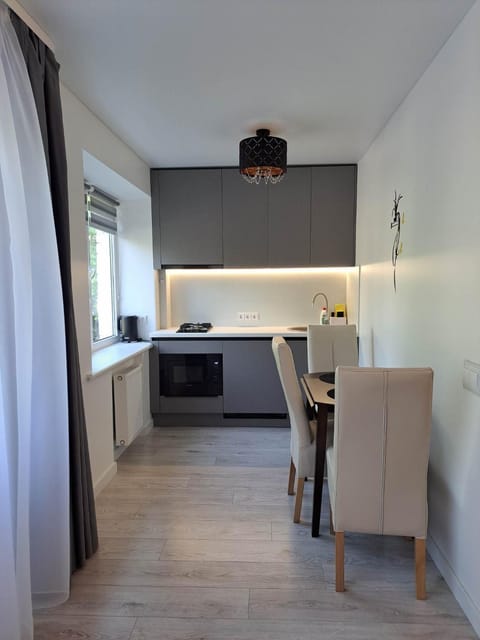 Trumpalaikė apartamentų nuoma centre (Vytauto g.) Apartment in Lithuania