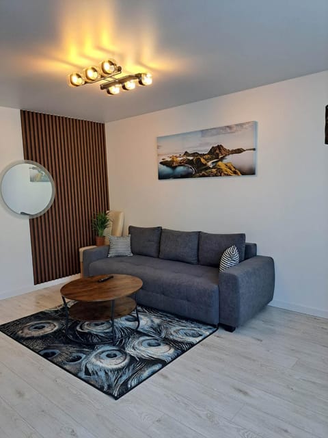 Trumpalaikė apartamentų nuoma centre (Vytauto g.) Apartment in Lithuania