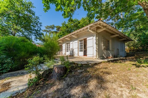 Property building, Natural landscape, Garden view
