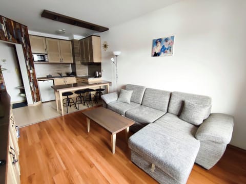 Kitchen or kitchenette, Living room, Dining area, pet friendly, stove