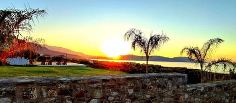 Property building, Garden, Garden view, Swimming pool, Sunset