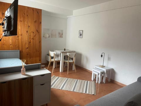 STUDIO COSY AURON Apartment in Saint-Étienne-de-Tinée