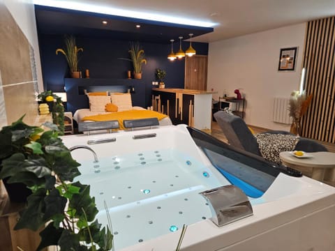 Bed, Hot Tub, Living room, Spa and wellness centre/facilities, Photo of the whole room, Bedroom