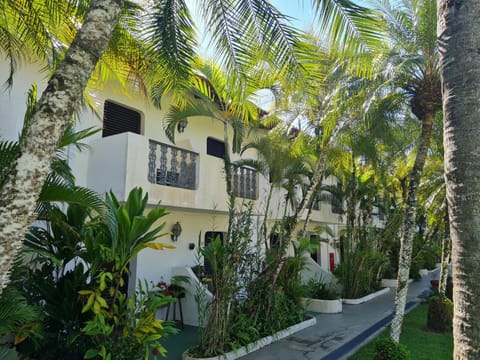 Property building, Garden view