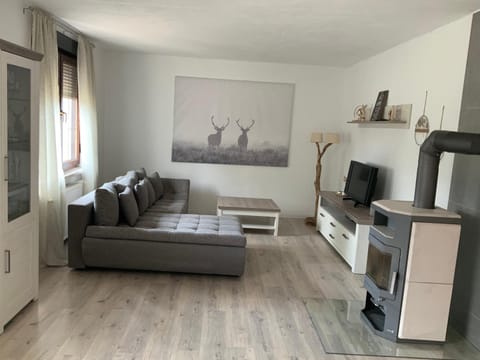 Communal lounge/ TV room, Living room