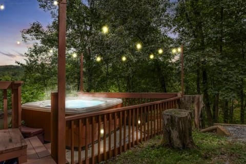 Lily's Lookout Lodge - Helen, GA Villa in Helen