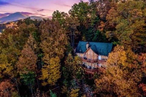 Lily's Lookout Lodge - Helen, GA Villa in Helen