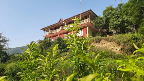 Natural landscape, Garden view, Mountain view