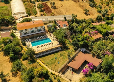 Property building, Bird's eye view