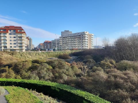 Oostduinkerke Apartments 2 Apartment in Koksijde