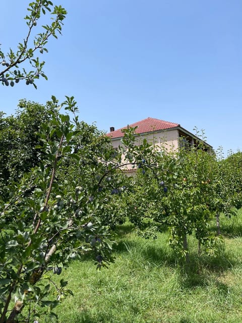 Natural landscape, Garden view