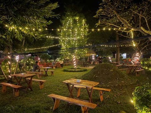Restaurant/places to eat, Night, Natural landscape, Garden, Garden, Garden view