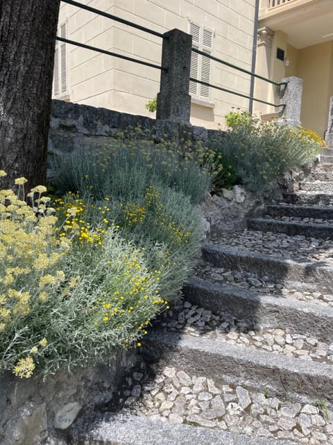 Villa Pia Lena House in Bellagio