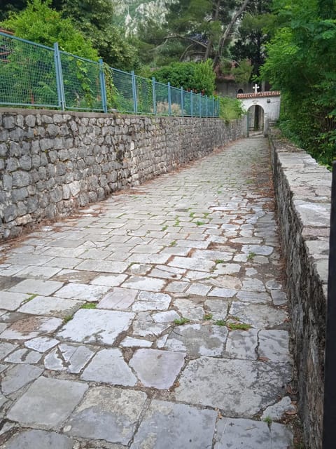 Apartments Pavic Apartment in Kotor Municipality