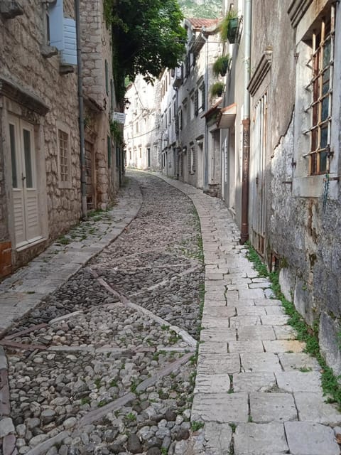 Apartments Pavic Apartment in Kotor Municipality