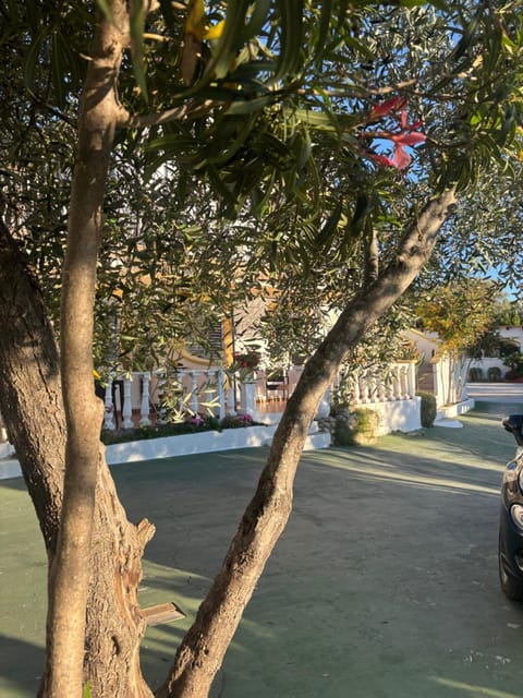 Valle dei Greci Rooms Apartment in Province of Foggia