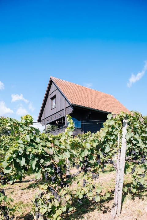Property building, Day, Garden, Autumn, Garden view