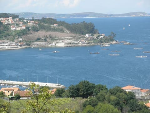 A Barraca. Casa con jardín y vistas a la ría House in Bueu