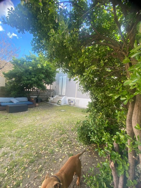 Day, Garden, Garden view