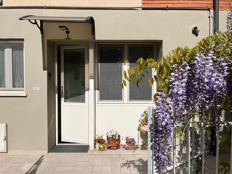 Il Glicine - Monolocale a due passi dal centro House in Urbino