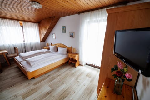 TV and multimedia, Photo of the whole room
