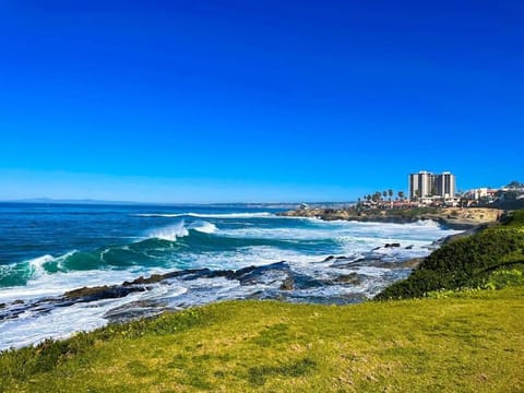Seas the Day by Cardo - La Jolla Beachfront Apartment in La Jolla