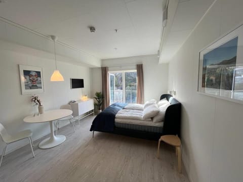 Bed, TV and multimedia, Dining area