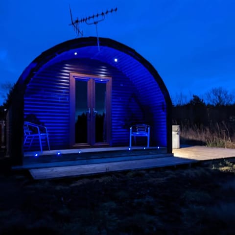 Property building, Night, Garden