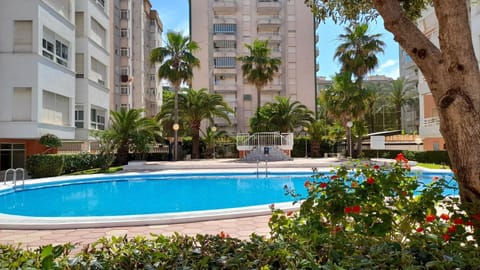 Garden, Swimming pool