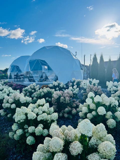 Property building, View (from property/room)