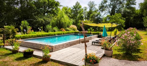 Natural landscape, Garden, Garden view, Pool view, Swimming pool, sunbed