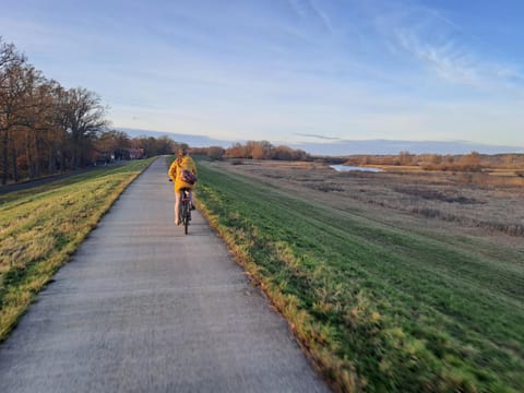 Ferienhaus Kamerun an der Elbe Apartment in Mecklenburg-Vorpommern, Germany