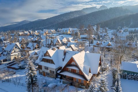 Bird's eye view, Winter