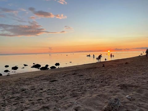 Day, Beach, Evening entertainment, Sea view, Sunset