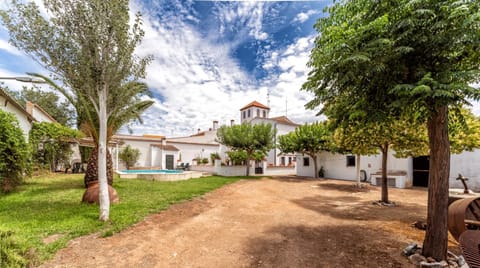 Patio, Garden, Garden view