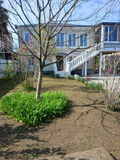 Property building, Spring, Day, Garden, Garden view
