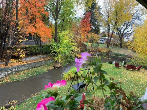 Natural landscape, Garden, Garden, Garden view