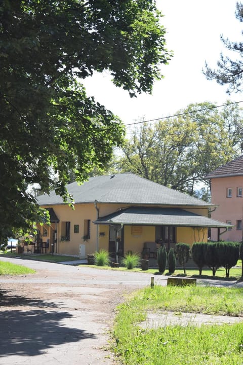 Property building, Spring, Day, Neighbourhood, Garden