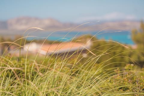 Ancóramare view Bed and Breakfast in Stintino