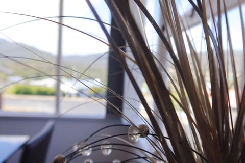 The Mountain Riveting House at Risdon vale House in Tasmania