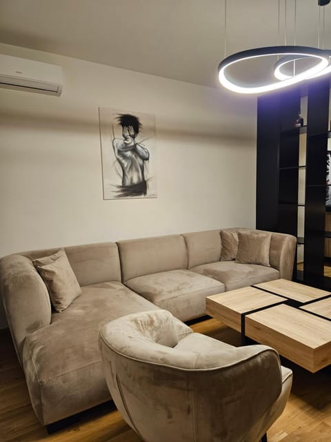 Living room, Seating area, air conditioner