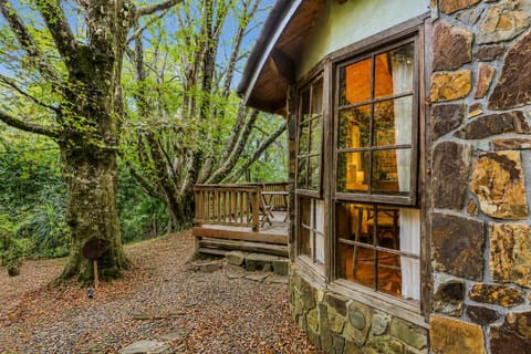 Property building, Garden view