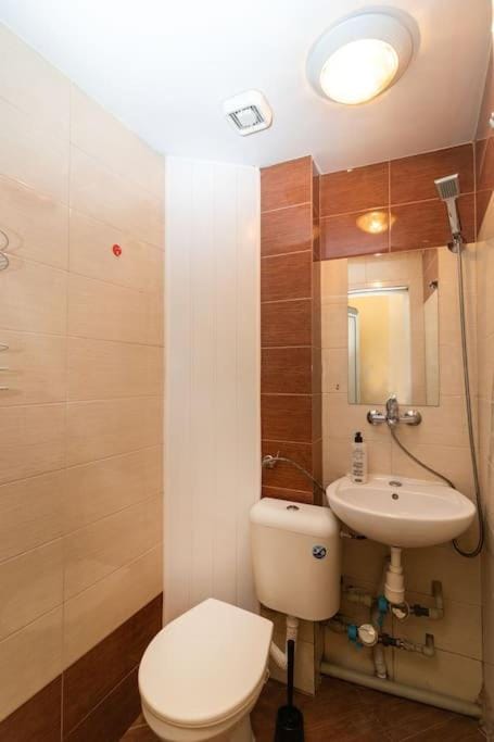 Charming Artistic Central Apartment Apartment in Sofia