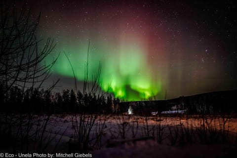 Night, Natural landscape