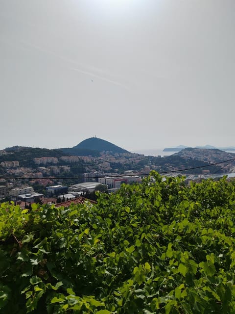 Natural landscape, City view